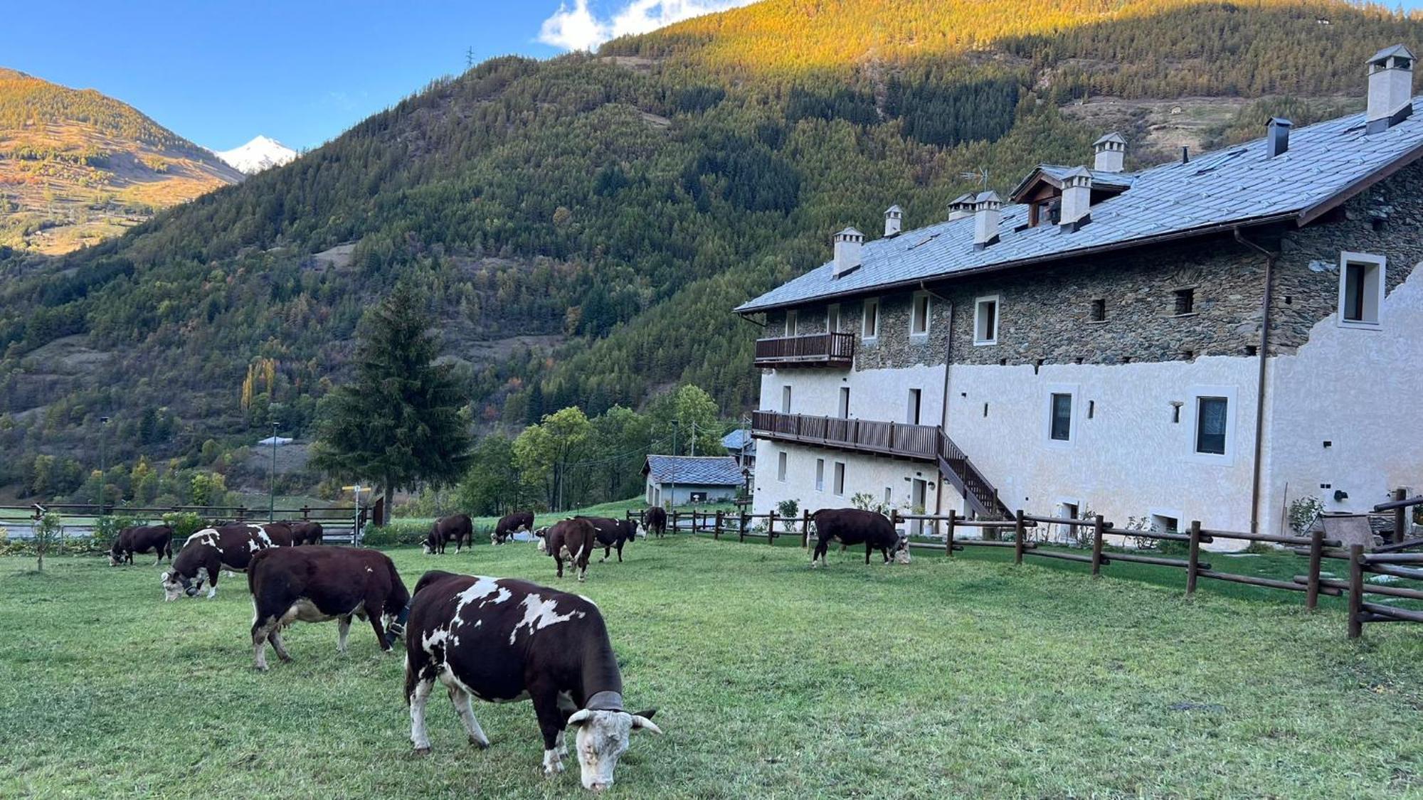 Maison Marcoz - Appartamenti Vacanze Etroubles Exterior photo